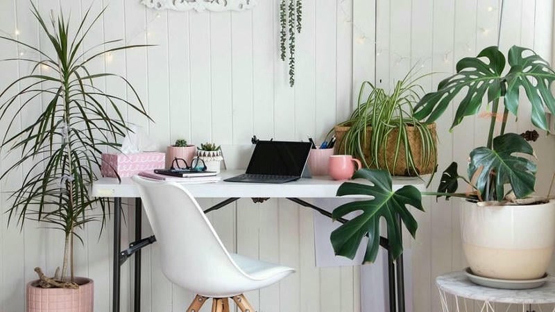 Phòng Làm Việc Phong Cách Biophilic Design
